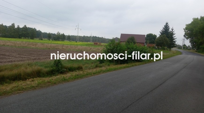 na sprzedaż działka Dąbrowa Wielka 